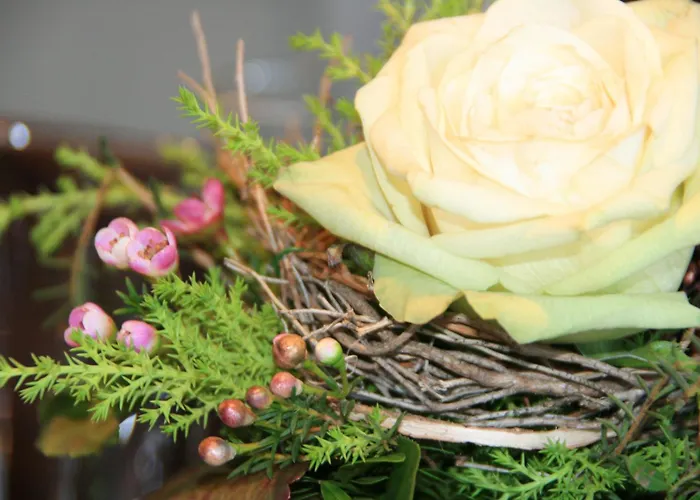 Gaestehaus Alpin Appartamento